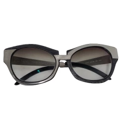 The Sparkling Spur Luce Pagni Glasses Frames