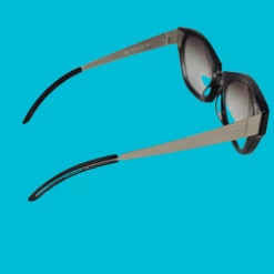 The Sparkling Spur Luce Pagni Glasses Frames