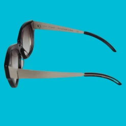 The Sparkling Spur Luce Pagni Glasses Frames