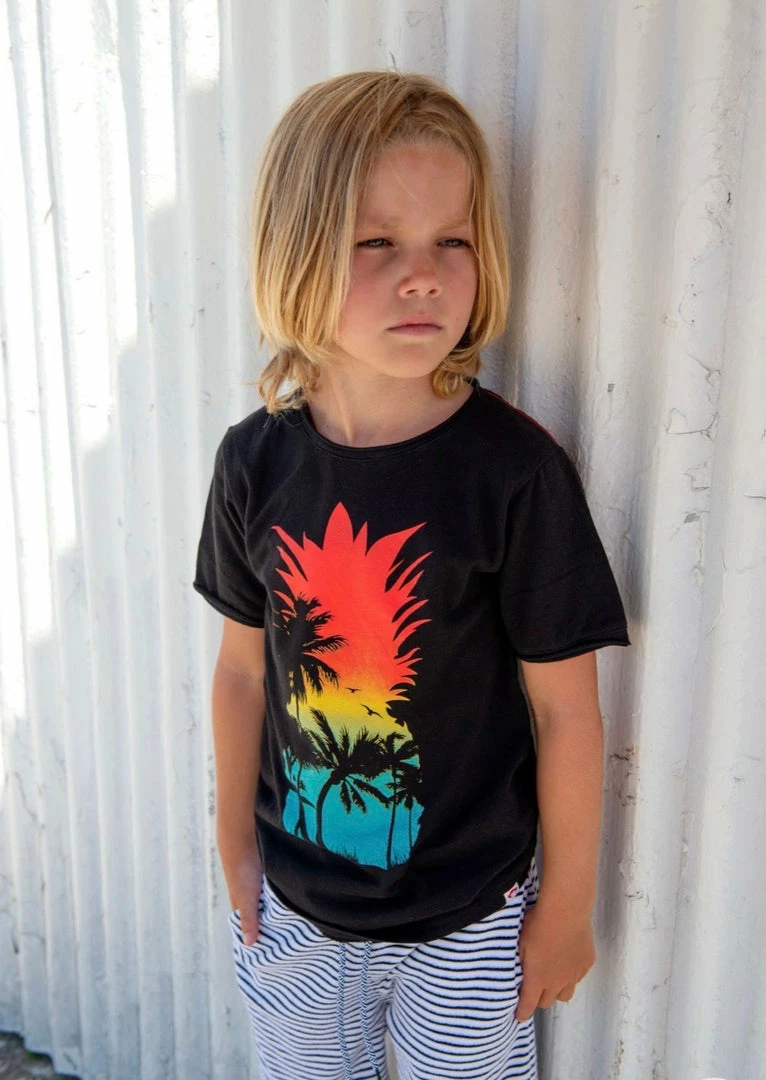 Cheapest ๐งจ Appaman Kids Of A King Pineapple Island Graphic Tee ๐ 5 Appaman Kids Of A King Pineapple Island Graphic Tee