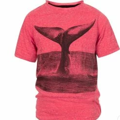 Appaman Whale Of A Tail Graphic Tee Kids Of A King